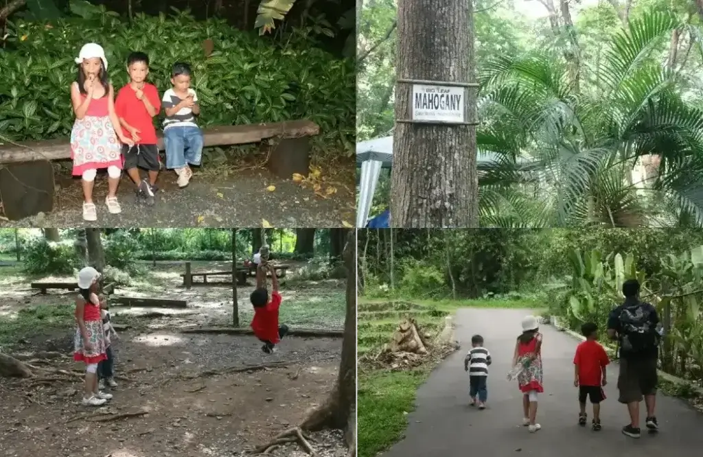 Exploring The Philippines With Kids, visit an ecopark